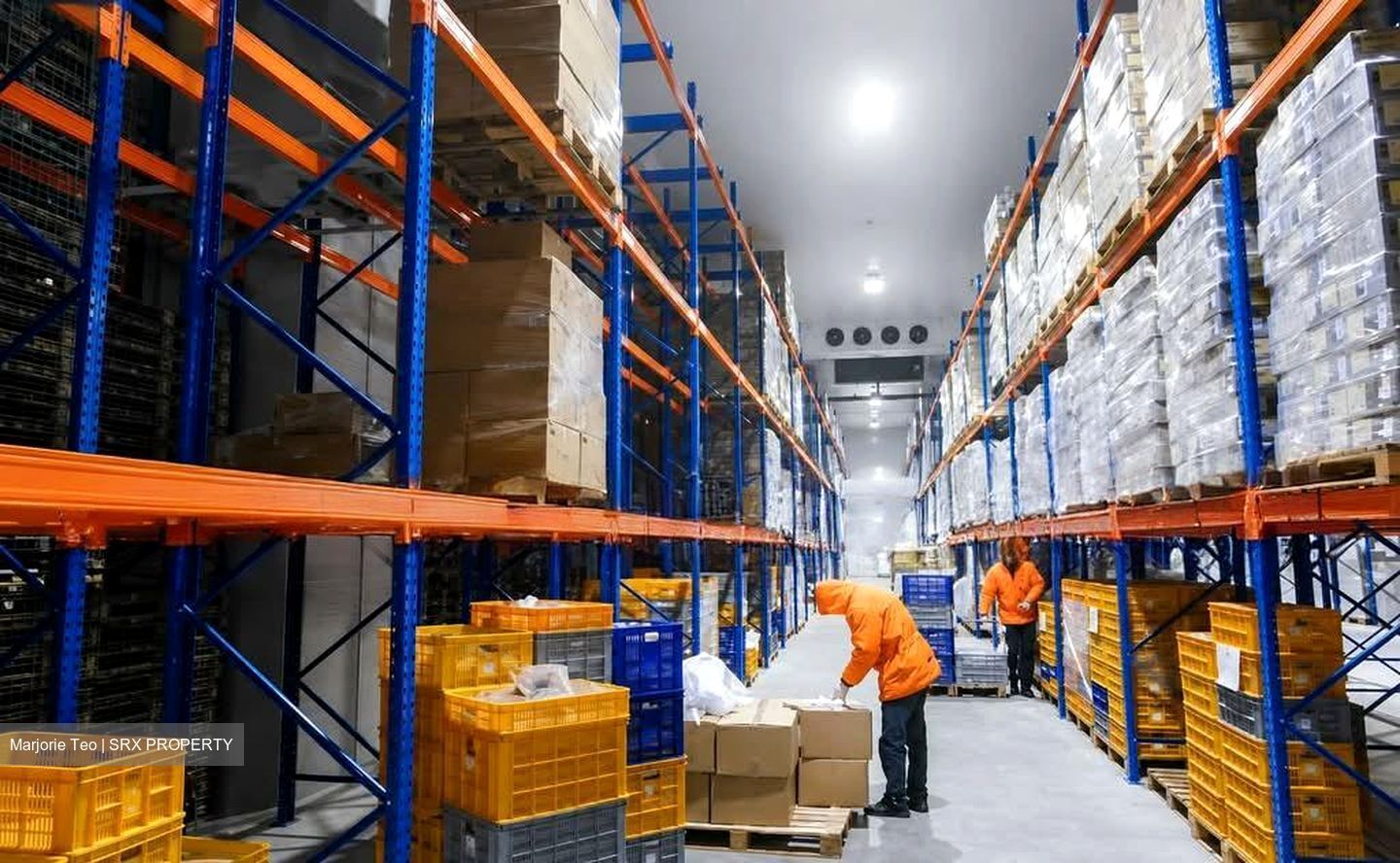 Chin Bee Avenue (D22), Warehouse #638721601